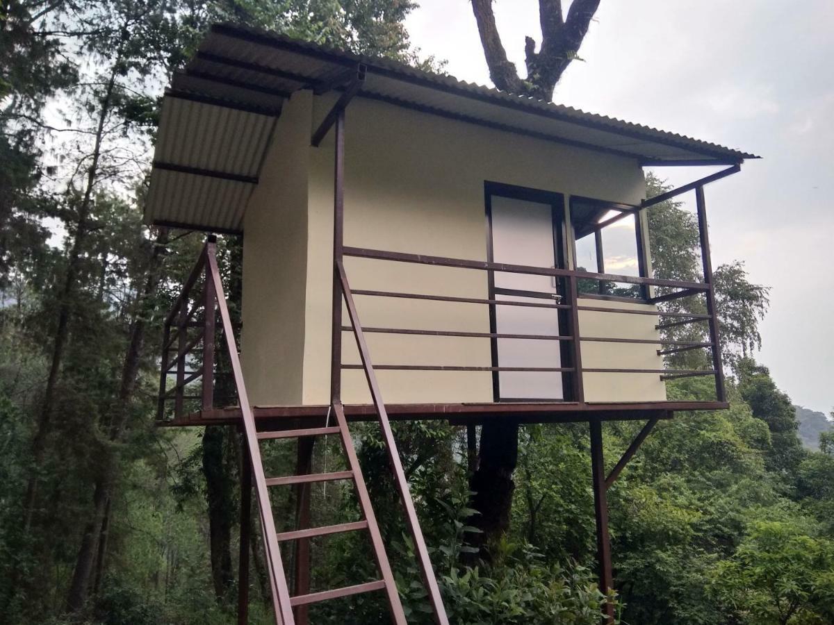 Jungle Crown Organic Homestay Nagarkot Eksteriør bilde