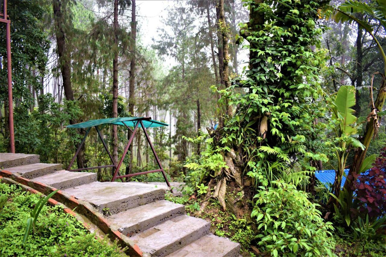 Jungle Crown Organic Homestay Nagarkot Eksteriør bilde