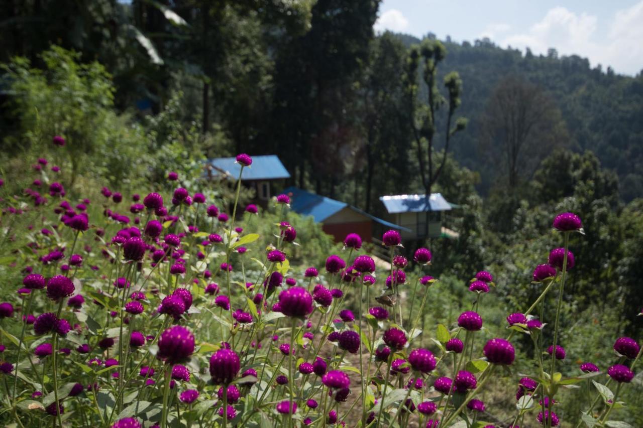 Jungle Crown Organic Homestay Nagarkot Eksteriør bilde