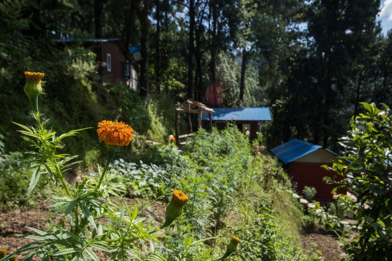 Jungle Crown Organic Homestay Nagarkot Eksteriør bilde